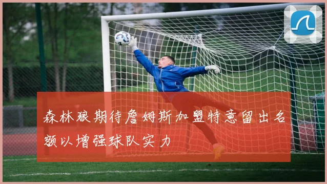 森林狼期待詹姆斯加盟特意留出名额以增强球队实力