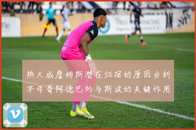 热火成詹姆斯潜在归宿的原因分析字母哥阿德巴约与斯波的关键作用