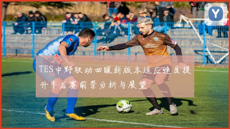 TES中野联动回暖新版本适应速度提升季后赛前景分析与展望